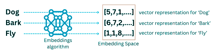 embeddings